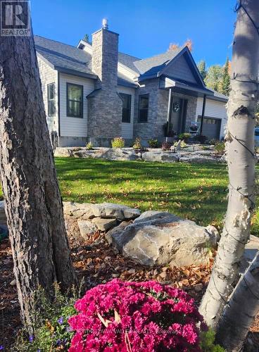 View from trees at edge of property. - 1485 Rapid Road, Whitewater Region, ON - Outdoor