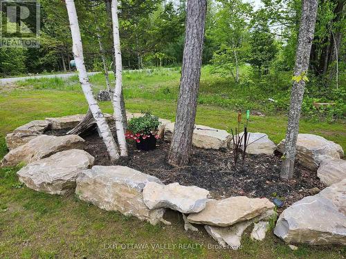 1485 Rapid Road, Whitewater Region, ON - Outdoor