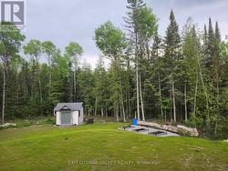 Back Yard - 