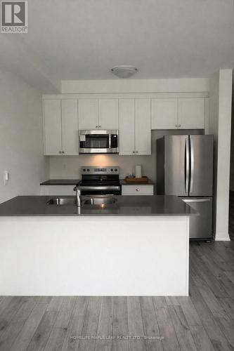 25 - 474 Provident Way, Hamilton, ON - Indoor Photo Showing Kitchen