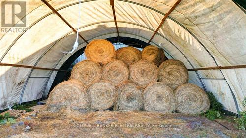 450 Thomasburg Road, Centre Hastings, ON 