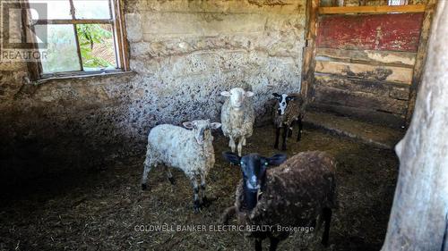 450 Thomasburg Road, Centre Hastings, ON 