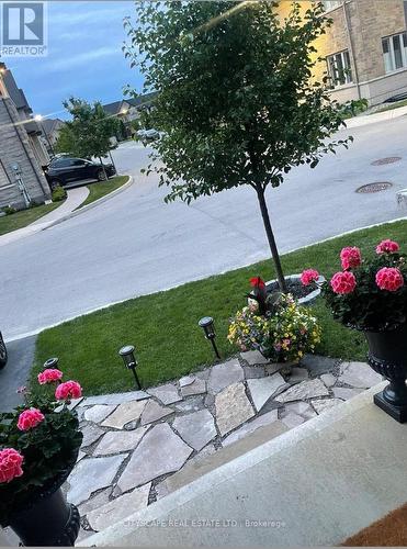 87 Sonoma Valley Crescent E, Hamilton, ON - Outdoor