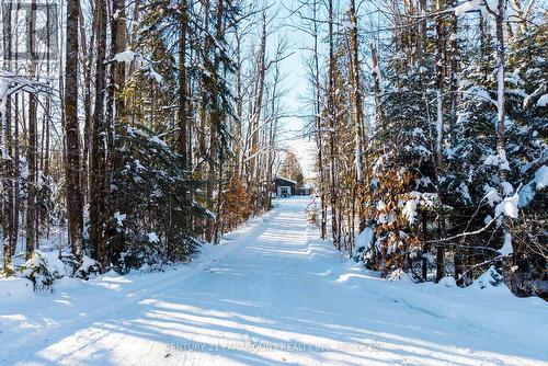 126 Chapman Drive Se, Magnetawan, ON - Outdoor With View