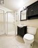 Basement - 313 Bronte Road, Oakville, ON  - Indoor Photo Showing Bathroom 