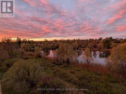 Summer Balcony Views - 