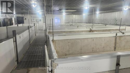 280354 Artemesia-Southgate Townline, Southgate, ON 