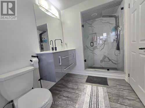 170 Golden Springs Drive, Brampton, ON - Indoor Photo Showing Bathroom