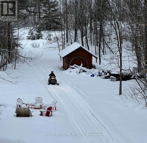 Back Yard - 72 Viewmount Drive, Greater Madawaska, ON - Outdoor