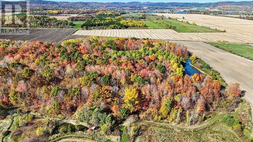 2575 Concession 2 Road, Alfred And Plantagenet, ON - Outdoor With View