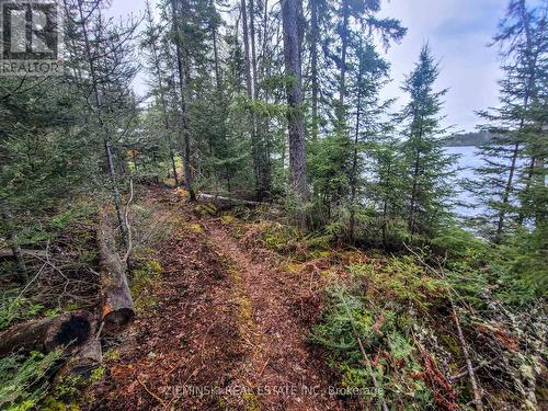 24217 Parcel, Timiskaming (Tim - Outside - Rural), ON - Outdoor With View