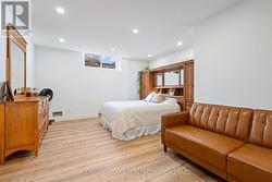 5th bedroom in lower level - 