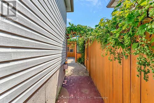 39 Marilyn Court, Hamilton, ON - Outdoor