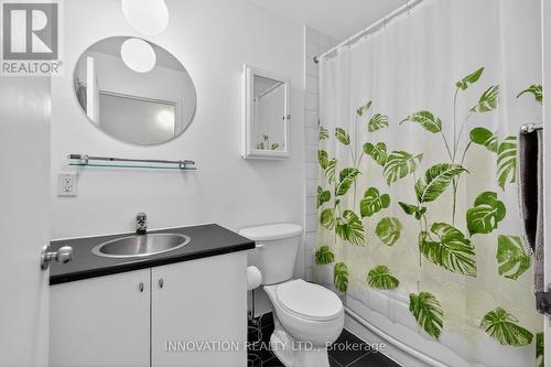 201 - 179 George Street, Ottawa, ON - Indoor Photo Showing Bathroom