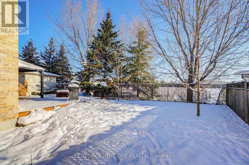 821 Walsh Court, Newmarket, ON - Outdoor