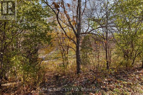Laneway - 451 Montrose Avenue, Toronto, ON - Outdoor With View