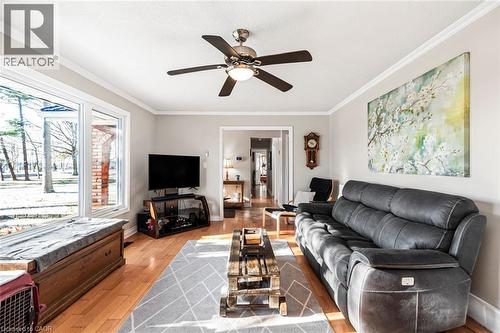 Living area featuring crown molding, light wood finished floors, and ceiling fan - 7087 Rainham Road, Dunnville, ON - Indoor Photo Showing Living Room