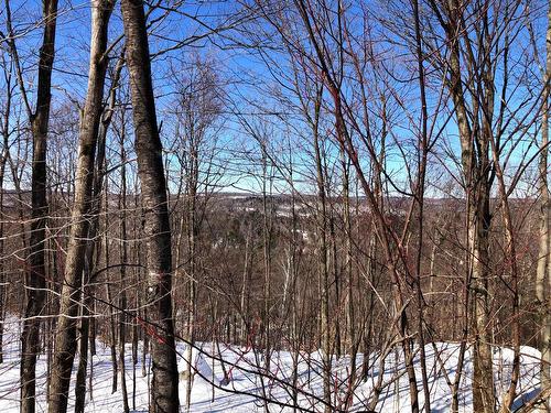 Vue - Ch. Hunter, Wentworth, QC 