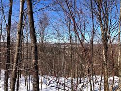 Ch. Hunter  Wentworth, QC J8H 0A7