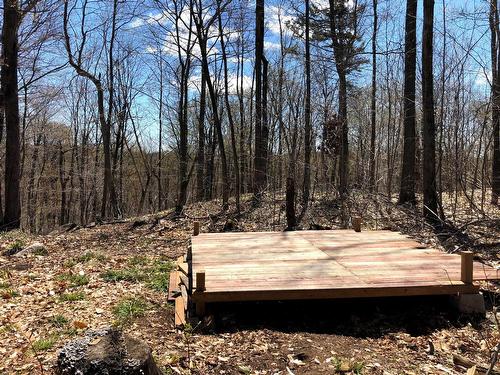 Vue - Ch. Hunter, Wentworth, QC 