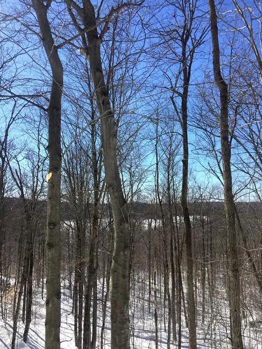 Vue - Ch. Hunter, Wentworth, QC 