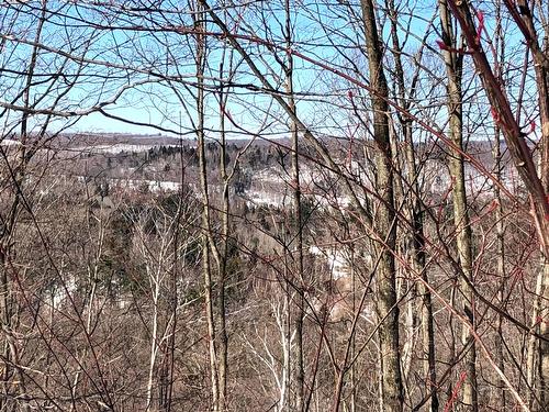 Vue - Ch. Hunter, Wentworth, QC 