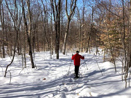 Vue - Ch. Hunter, Wentworth, QC 