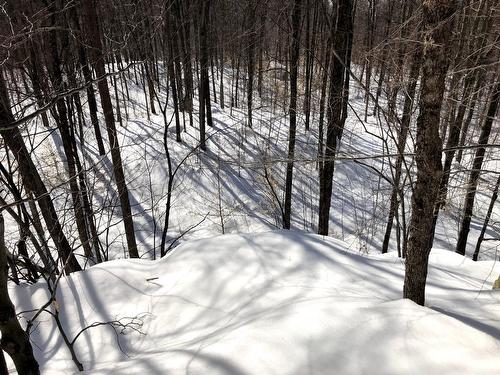 Vue - Ch. Hunter, Wentworth, QC 