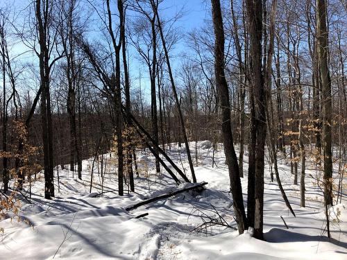 Vue - Ch. Hunter, Wentworth, QC 