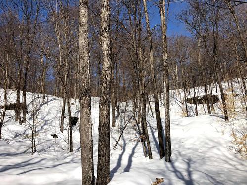 View - Ch. Hunter, Wentworth, QC 