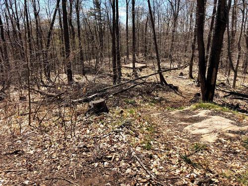 View - Ch. Hunter, Wentworth, QC 