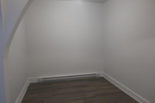 Salon - 4174 Rue De Bullion, Montréal (Le Plateau-Mont-Royal), QC - Indoor Photo Showing Other Room