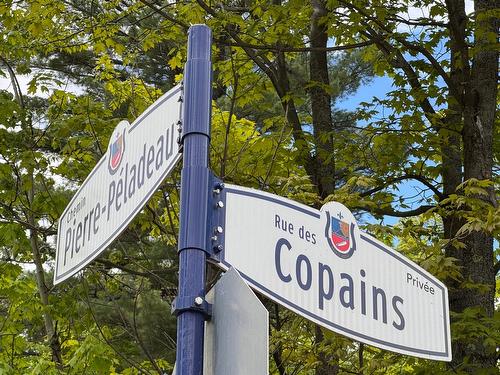 Street - Rue De La Vallée, Sainte-Adèle, QC 