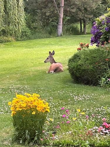 60-1101 Cameron Avenue, Kelowna, BC - Outdoor