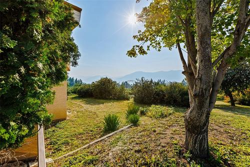 1701 Erickson Road, Creston, BC - Outdoor With View