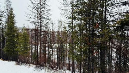 210-300 Stemwinder Drive, Kimberley, BC - Outdoor With View