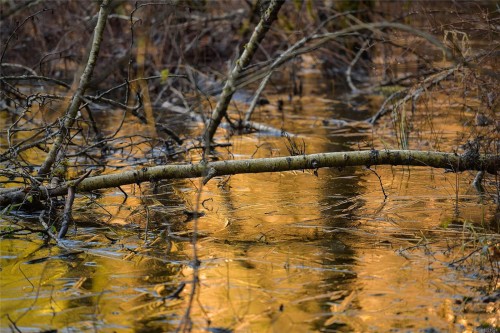 3795 Glenora Rd, Duncan, BC 