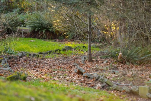 3795 Glenora Rd, Duncan, BC 