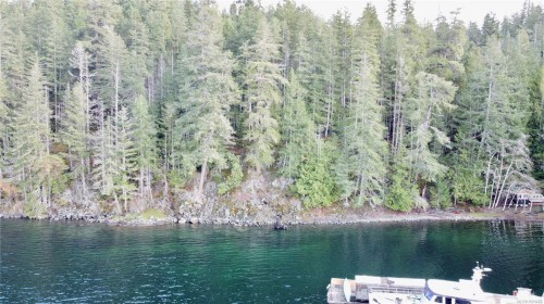 1309 Gorge Harbour Rd, Cortes Island, BC 