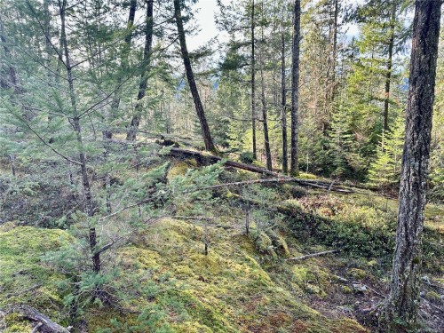 1309 Gorge Harbour Rd, Cortes Island, BC 