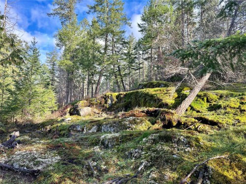 1309 Gorge Harbour Rd, Cortes Island, BC 