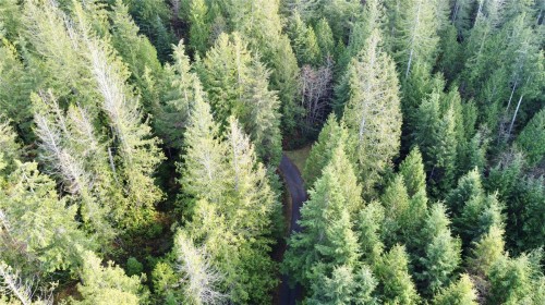 1309 Gorge Harbour Rd, Cortes Island, BC 
