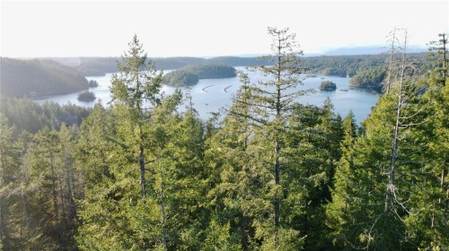 1309 Gorge Harbour Rd, Cortes Island, BC 