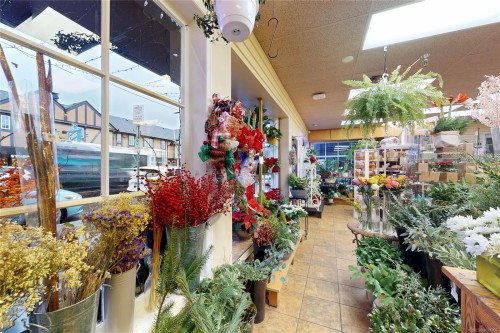 102-2187 Oak Bay Ave, Oak Bay, BC 