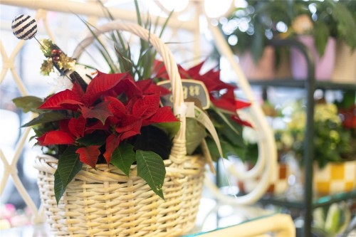 102-2187 Oak Bay Ave, Oak Bay, BC 