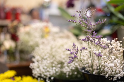 102-2187 Oak Bay Ave, Oak Bay, BC 