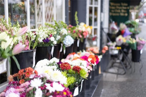 102-2187 Oak Bay Ave, Oak Bay, BC 