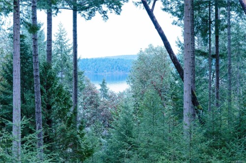 149 Pilkey Point Rd, Thetis Island, BC 