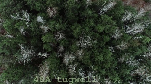 Lot-48A Tugwell Rd, Sooke, BC 