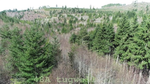 Lot-48A Tugwell Rd, Sooke, BC 